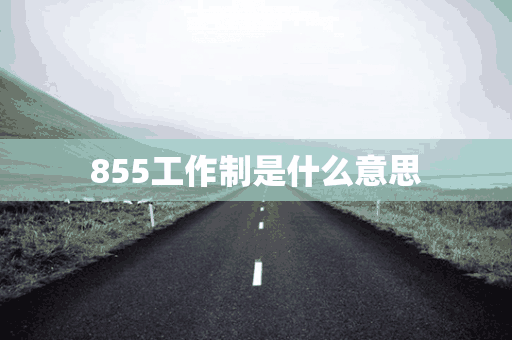 855工作制是什么意思(855工作制是什么意思啊)